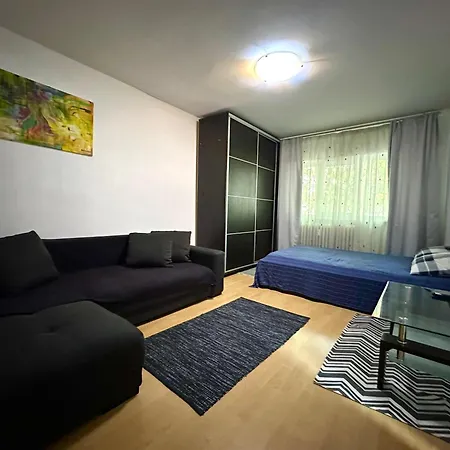 Apartment Mosilor Confort *