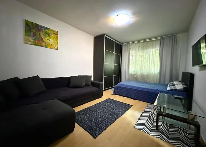 Apartament Mosilor Confort *