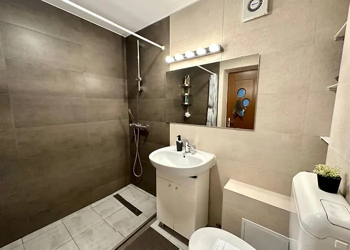 Mosilor Confort Apartament